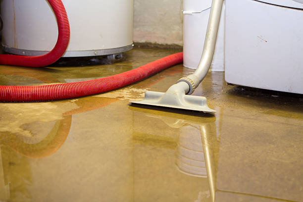 Best Commercial water damage restoration  in Abbeville, GA