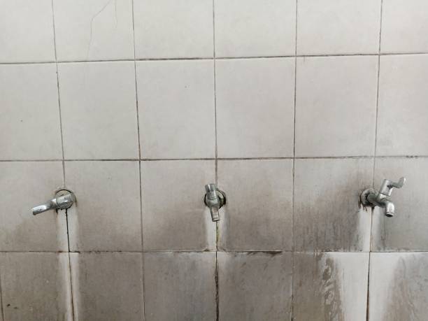 Best Ceiling water damage repair  in Abbeville, GA