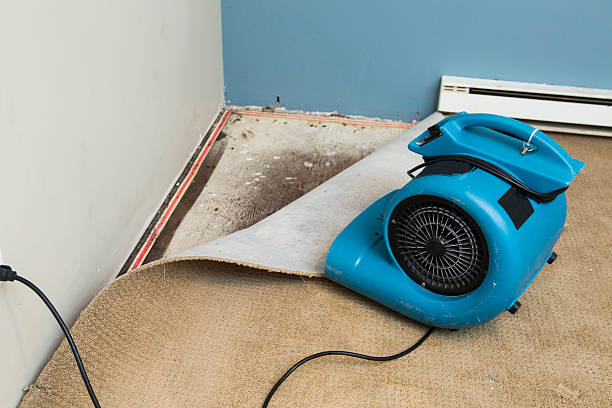 Best Water damage restoration near me  in Abbeville, GA
